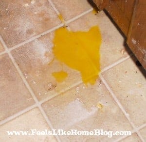 easy clean up for broken eggs broken egg