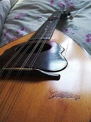 mandolin