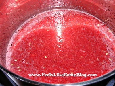 How to Make Watermelon Jam How to Make Watermelon Jam