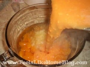 orange pineapple tapioca