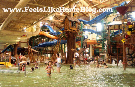 Great Wolf Lodge indoor waterpark Great Wolf Lodge indoor waterpark