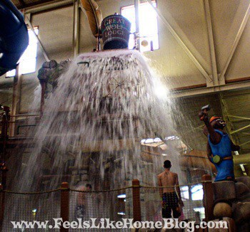 Great Wolf Lodge Indoor Waterpark Great Wolf Lodge Indoor Waterpark