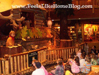 Great Wolf Lodge Story time Great Wolf Lodge story time