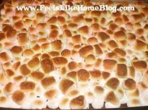 Toasted S'mores Bars