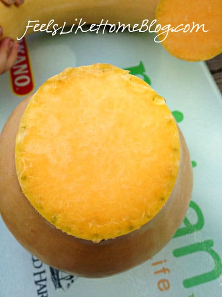 Neck Pumpkin - Kindergarten Science Neck Pumpkin - Kindergarten Science