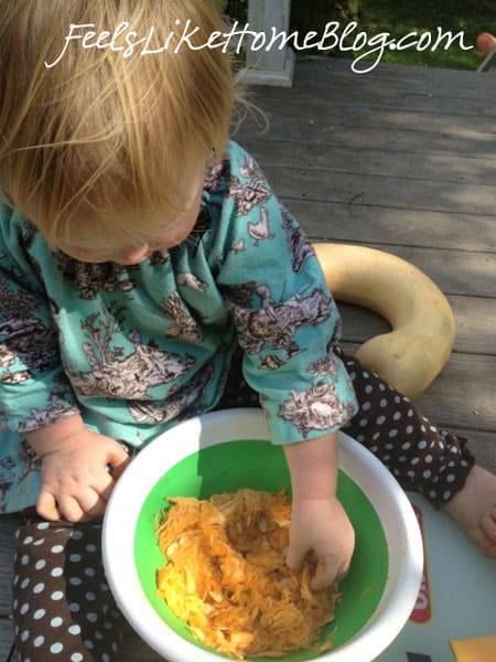 Neck Pumpkin - Kindergarten Science Neck Pumpkin - Kindergarten Science