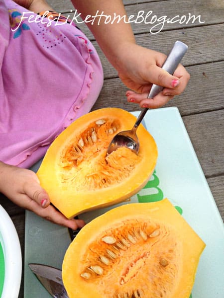 Neck Pumpkin - Kindergarten Science Neck Pumpkin - Kindergarten Science