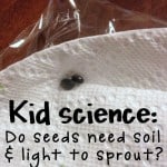 Kid Science: Do Seeds Need Soil & Light to Sprout?